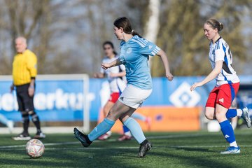 Bild 302 - F Hamburger SV 3 - Blau-Weiss 96 : Ergebnis: 5:1